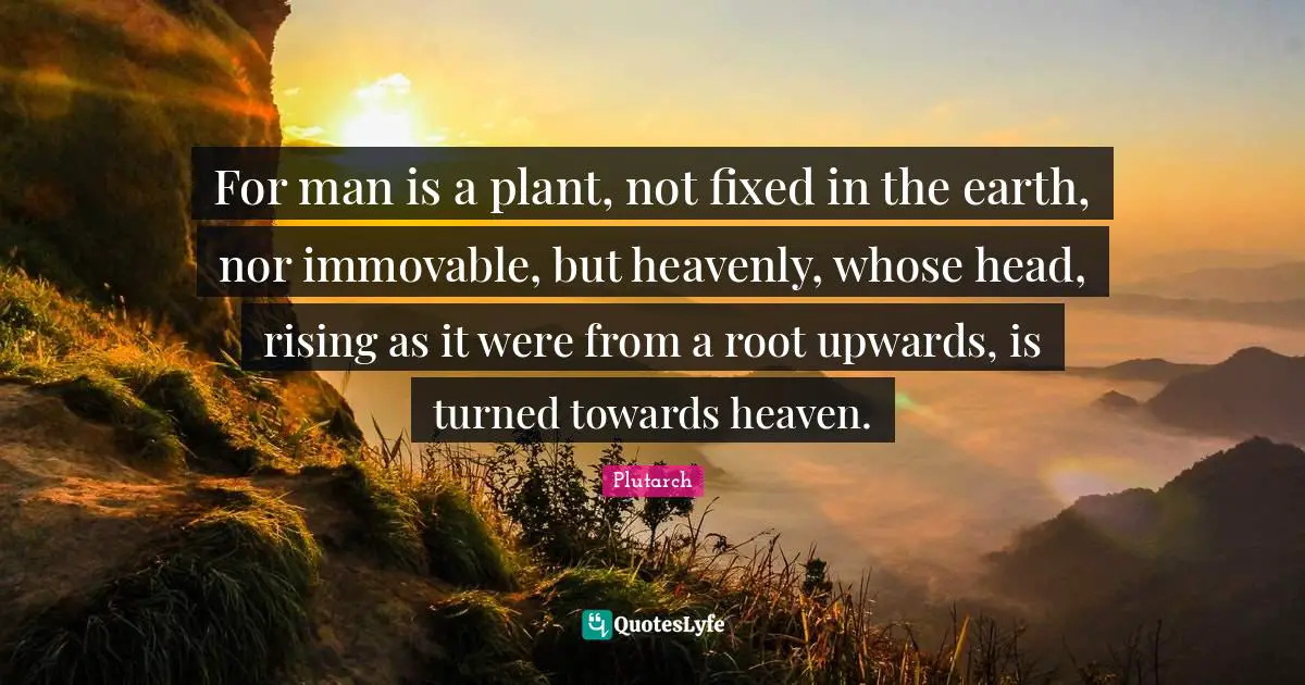 Rising Quotes: "For man is a plant, not fixed in the earth, nor immovable, but heavenly, whose head, rising as it were from a root upwards, is turned towards heaven."