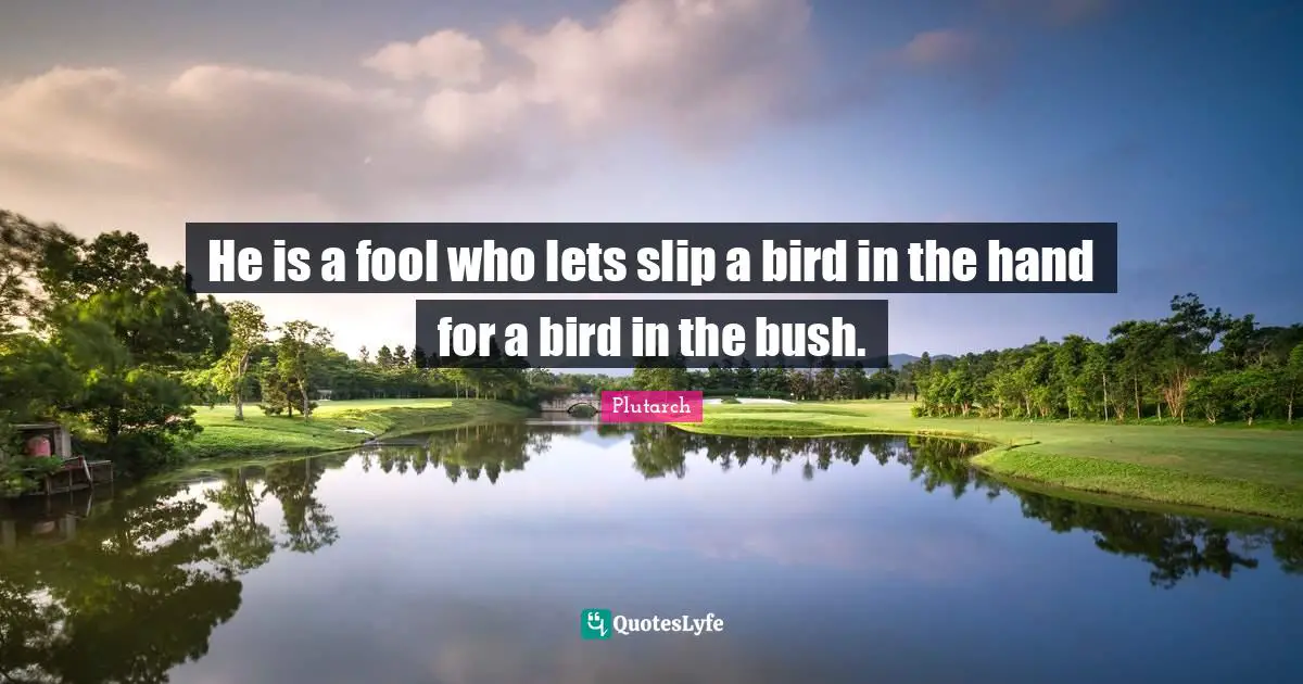 He is a fool who lets slip a bird in the hand for a bird in the bush.