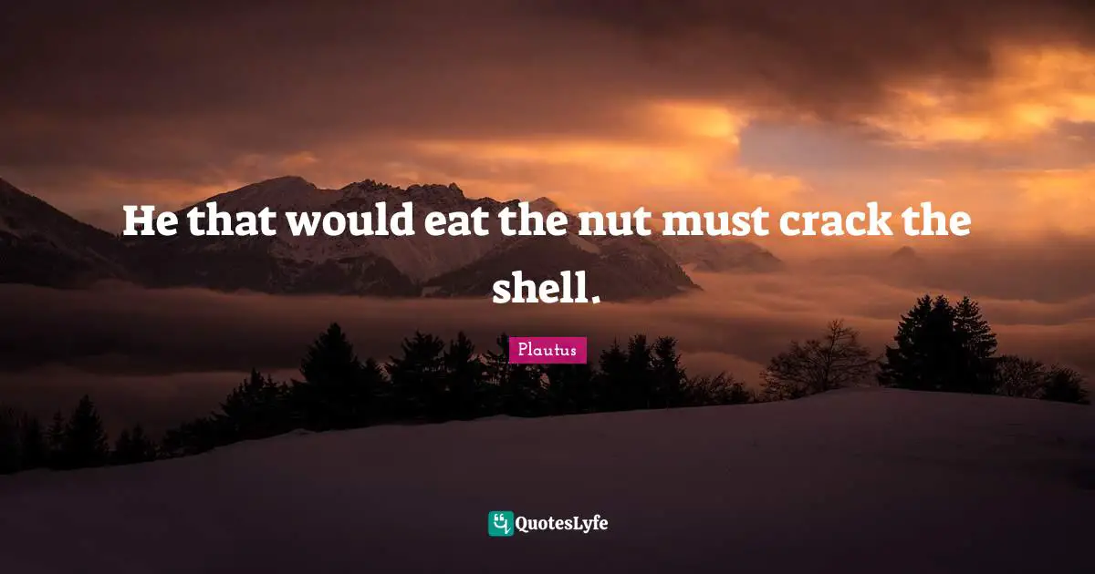 He that would eat the nut must crack the shell.