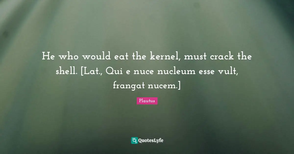 He who would eat the kernel, must crack the shell. [Lat., Qui e nuce nucleum esse vult, frangat nucem.]