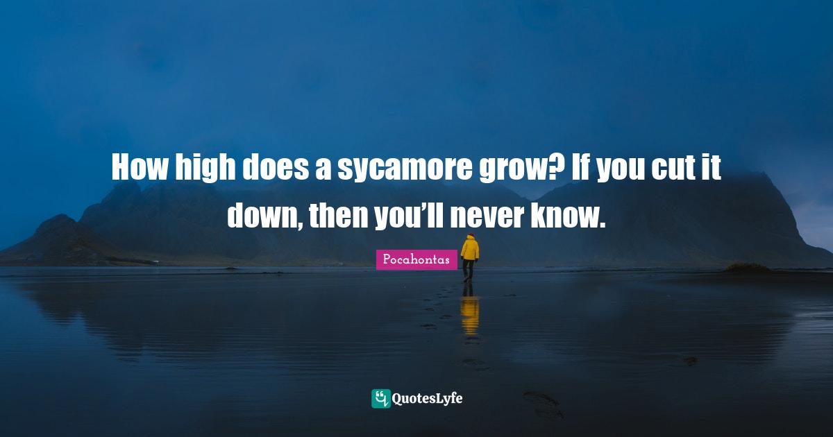 How high does a sycamore grow? If you cut it down, then you’ll never... Quote by Pocahontas