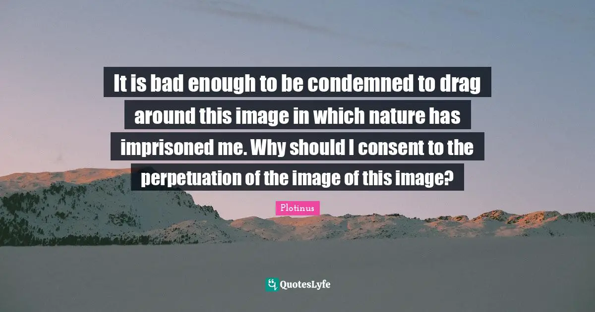 It is bad enough to be condemned to drag around this image in which nature has imprisoned me. Why should I consent to the perpetuation of the image of this image?