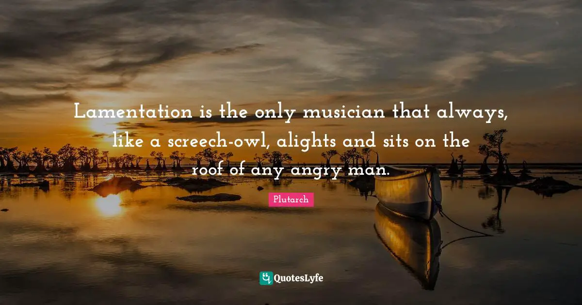 Lamentation is the only musician that always, like a screech-owl, alights and sits on the roof of any angry man.
