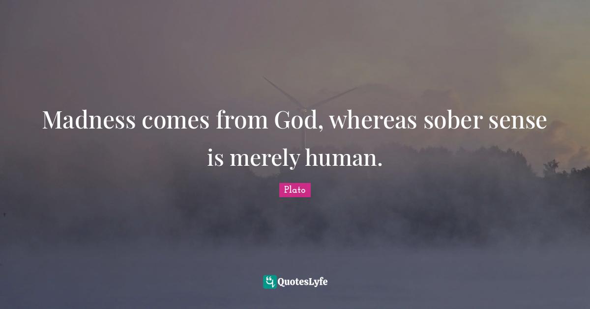 Madness comes from God, whereas sober sense is merely human.