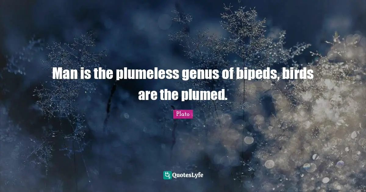 Man is the plumeless genus of bipeds, birds are the plumed.