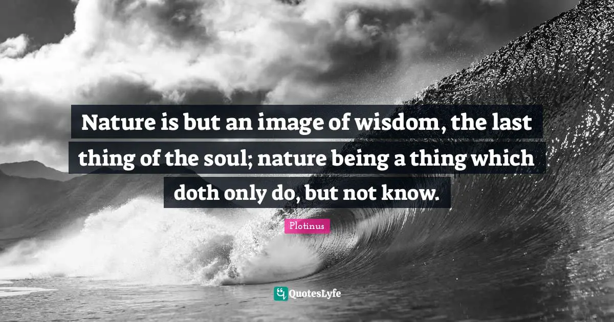 Nature is but an image of wisdom, the last thing of the soul; nature being a thing which doth only do, but not know.