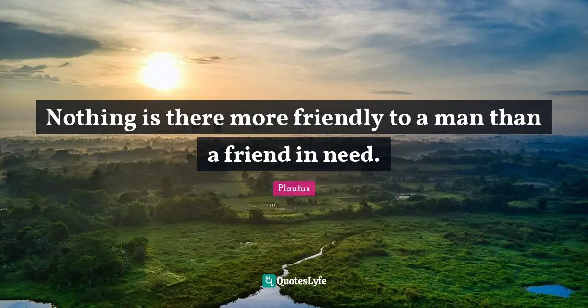 Nothing is there more friendly to a man than a friend in need.