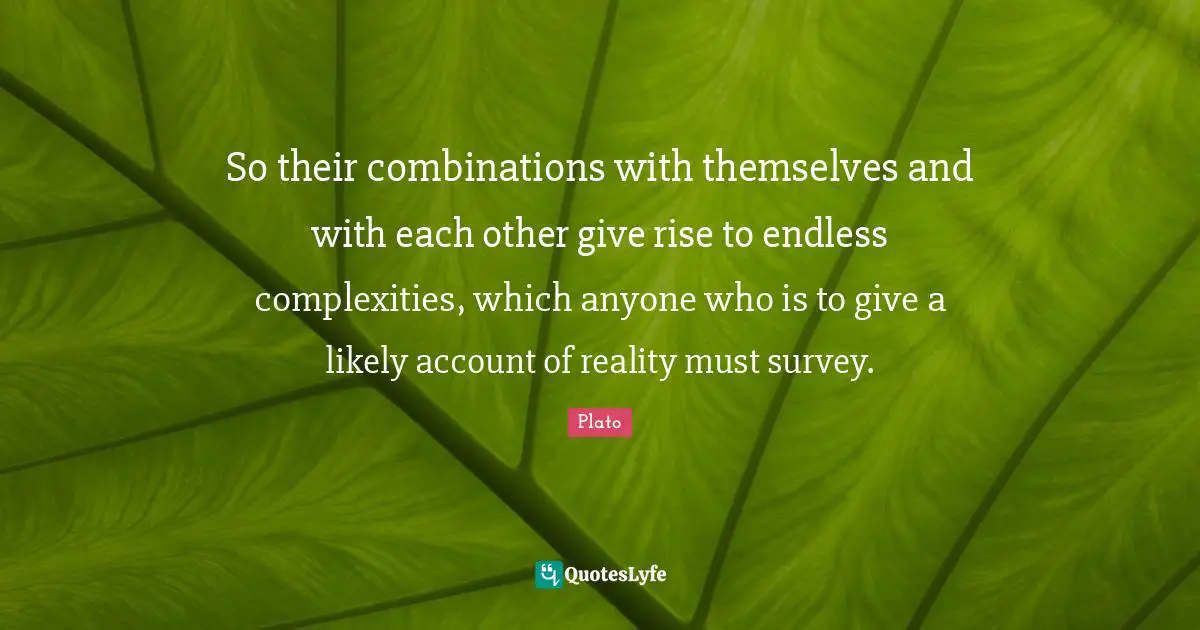 So their combinations with themselves and with each other give rise to endless complexities, which anyone who is to give a likely account of reality must survey.