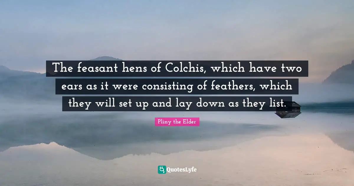 Feathers Quotes: "The feasant hens of Colchis, which have two ears as it were consisting of feathers, which they will set up and lay down as they list."