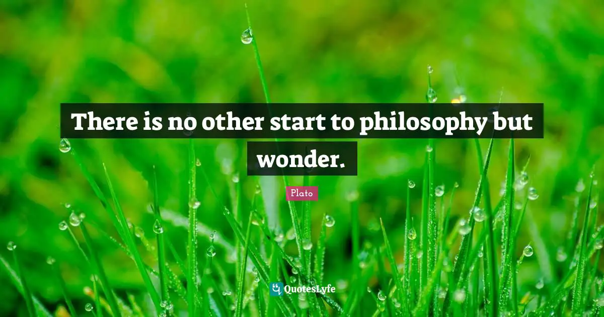There is no other start to philosophy but wonder.