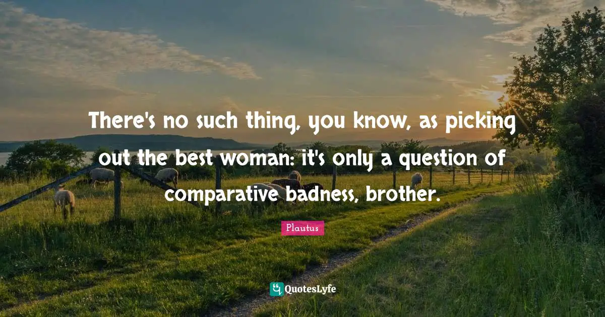 There's no such thing, you know, as picking out the best woman: it's only a question of comparative badness, brother.