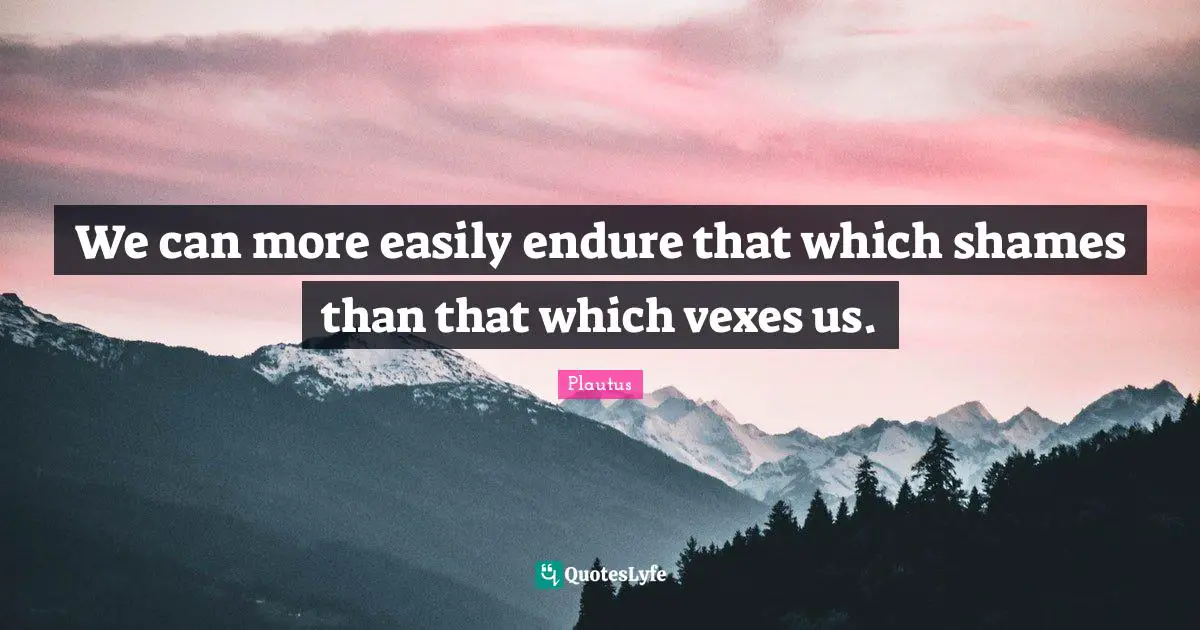 We can more easily endure that which shames than that which vexes us.