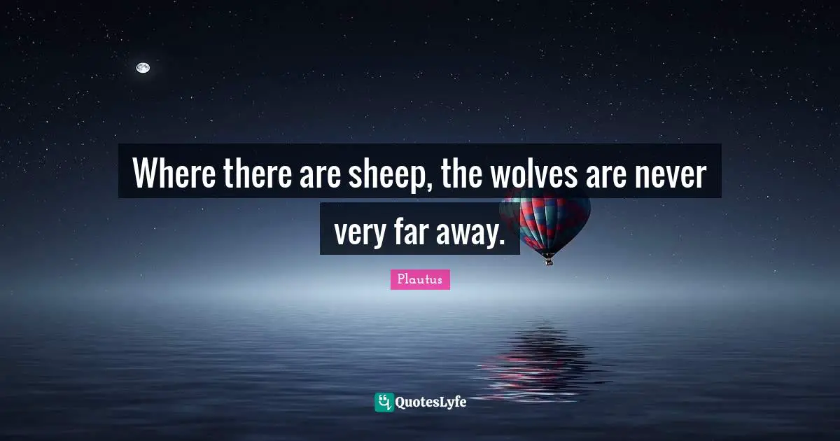 Where there are sheep, the wolves are never very far away.