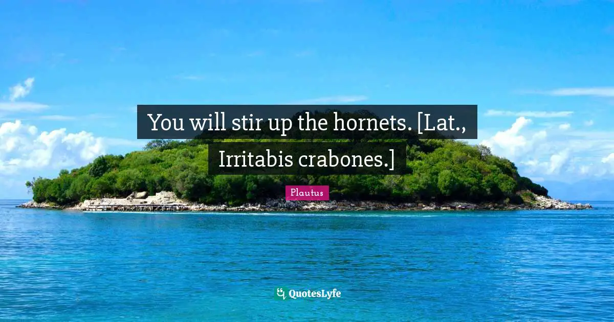 You will stir up the hornets. [Lat., Irritabis crabones.]