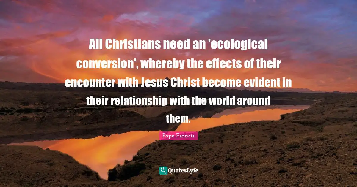 All Christians need an 'ecological conversion', whereby the effects of their encounter with Jesus Christ become evident in their relationship with the world around them.