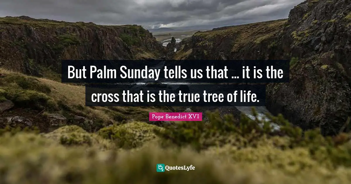But Palm Sunday tells us that ... it is the cross that is the true tree of life.