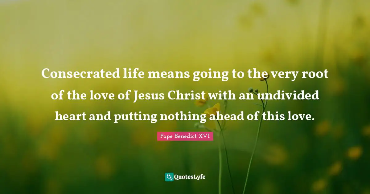 Consecrated life means going to the very root of the love of Jesus Christ with an undivided heart and putting nothing ahead of this love.