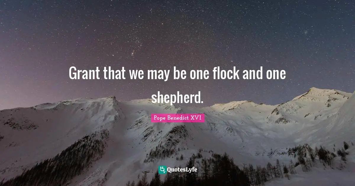Grant that we may be one flock and one shepherd.
