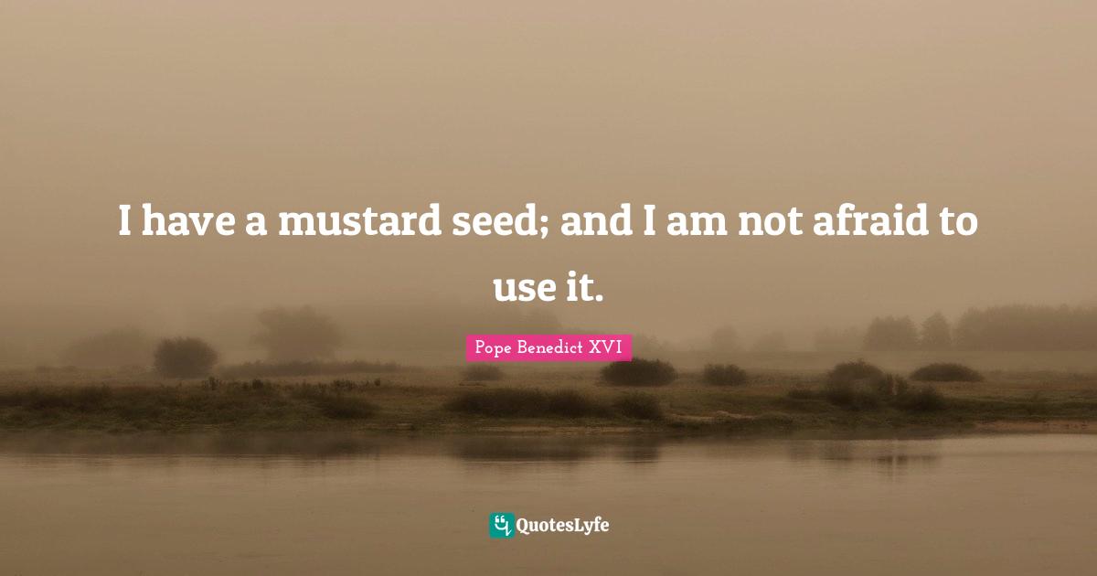 I have a mustard seed; and I am not afraid to use it.