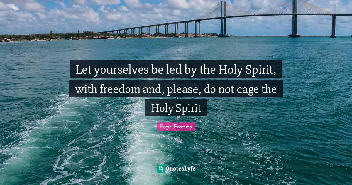 Let yourselves be led by the Holy Spirit, with freedom and, please, do not cage the Holy Spirit