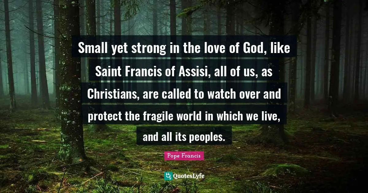 Small yet strong in the love of God, like Saint Francis of Assisi, all of us, as Christians, are called to watch over and protect the fragile world in which we live, and all its peoples.