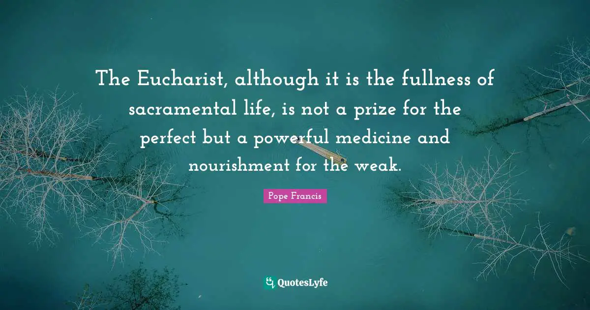 The Eucharist, although it is the fullness of sacramental life, is not a prize for the perfect but a powerful medicine and nourishment for the weak.