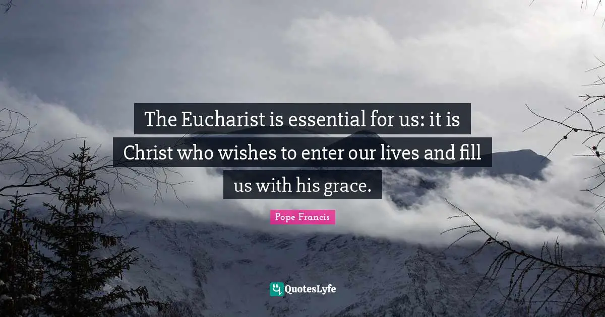 The Eucharist is essential for us: it is Christ who wishes to enter our lives and fill us with his grace.