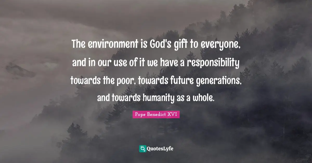 The environment is God's gift to everyone, and in our use of it we have a responsibility towards the poor, towards future generations, and towards humanity as a whole.