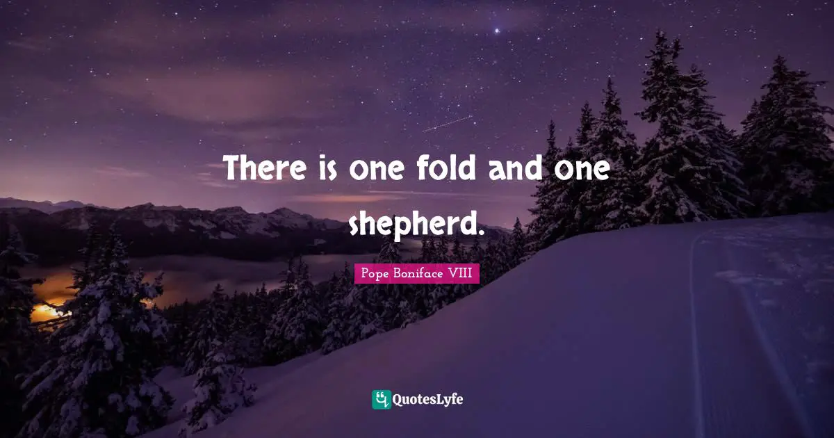 There is one fold and one shepherd.