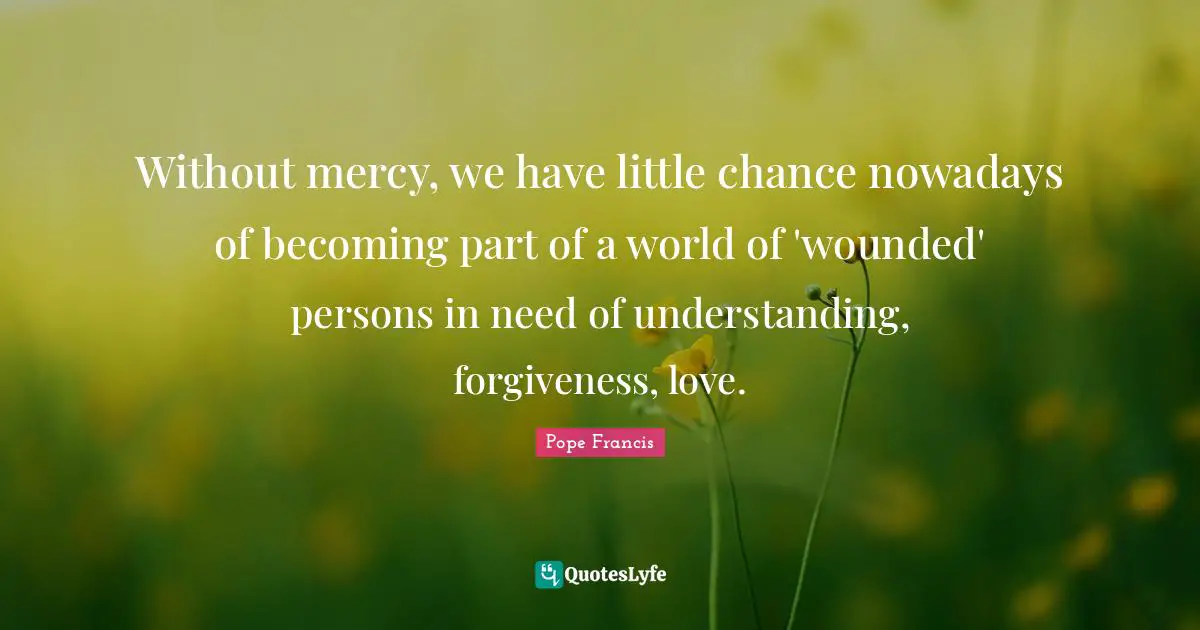 Without mercy, we have little chance nowadays of becoming part of a world of 'wounded' persons in need of understanding, forgiveness, love.