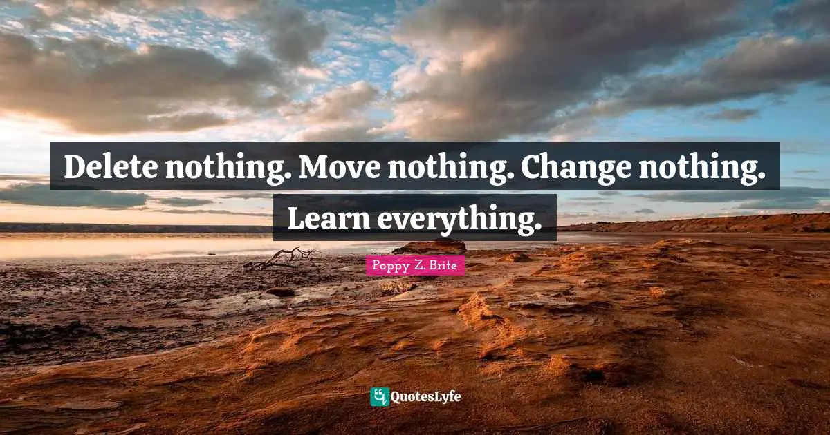 Delete nothing. Move nothing. Change nothing. Learn everything.