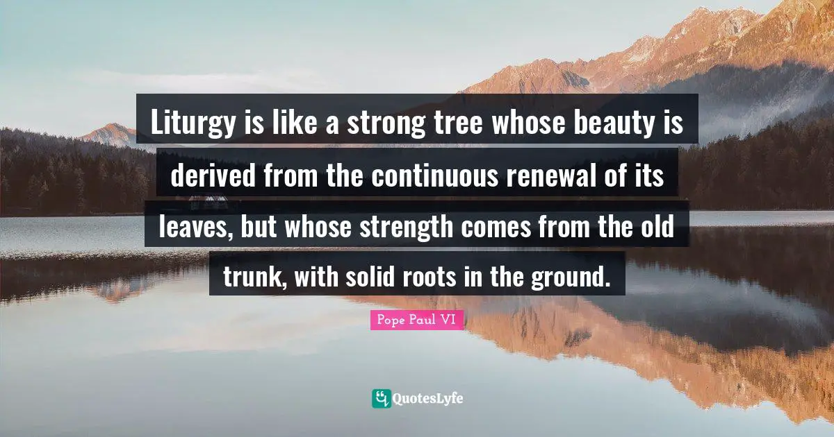 Liturgy is like a strong tree whose beauty is derived from the continuous renewal of its leaves, but whose strength comes from the old trunk, with solid roots in the ground.