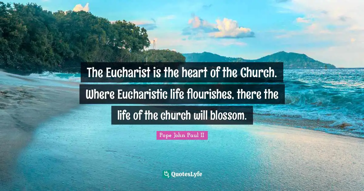The Eucharist is the heart of the Church. Where Eucharistic life flourishes, there the life of the church will blossom.