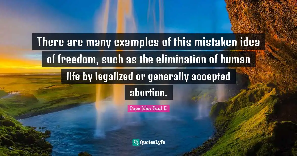 There are many examples of this mistaken idea of freedom, such as the elimination of human life by legalized or generally accepted abortion.