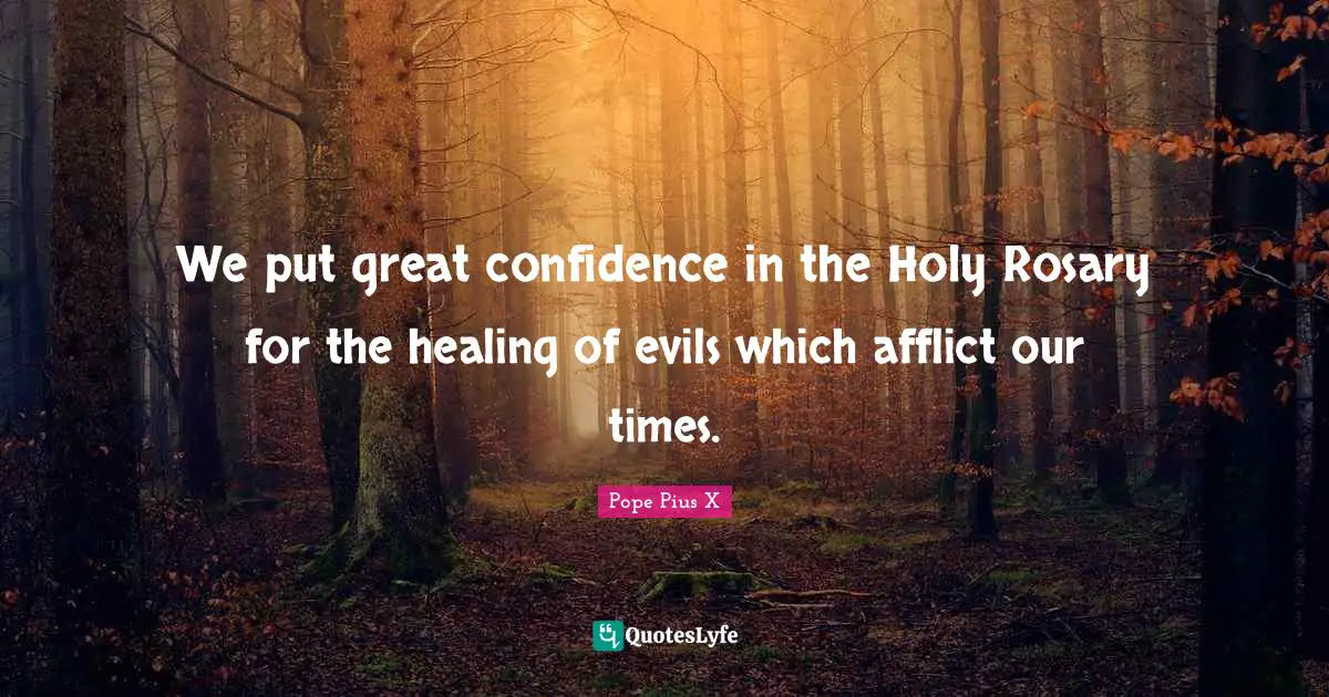 We put great confidence in the Holy Rosary for the healing of evils which afflict our times.