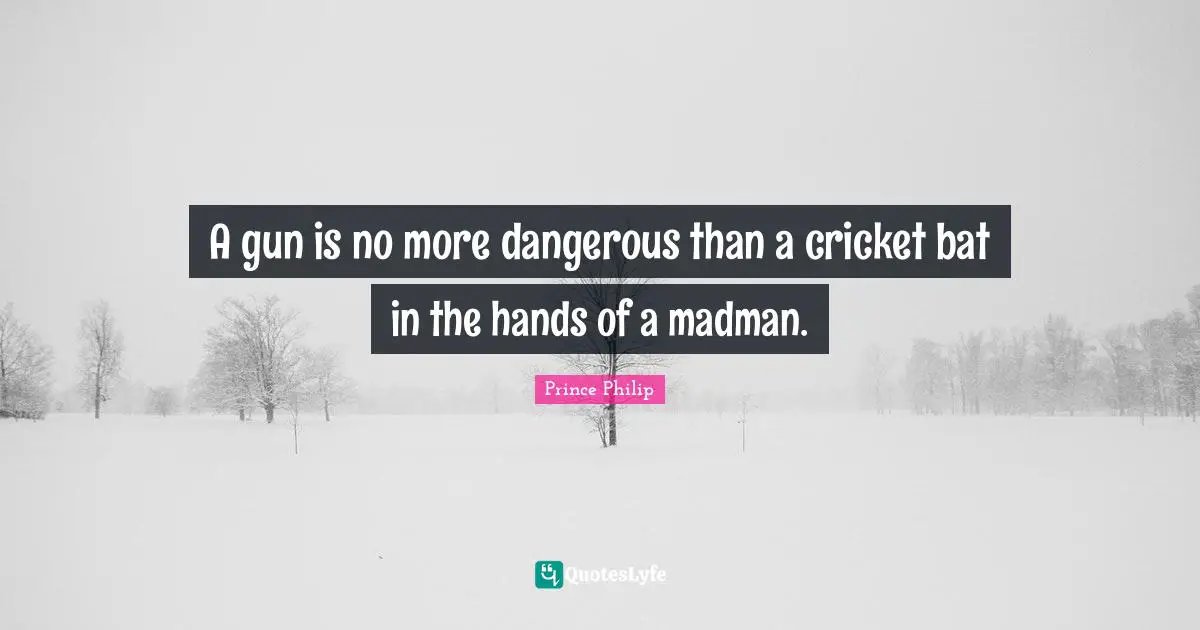 A gun is no more dangerous than a cricket bat in the hands of a madman.