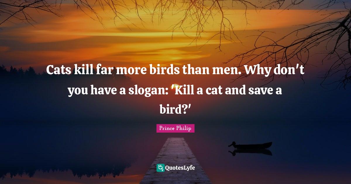 Cats kill far more birds than men. Why don't you have a slogan 'Kill