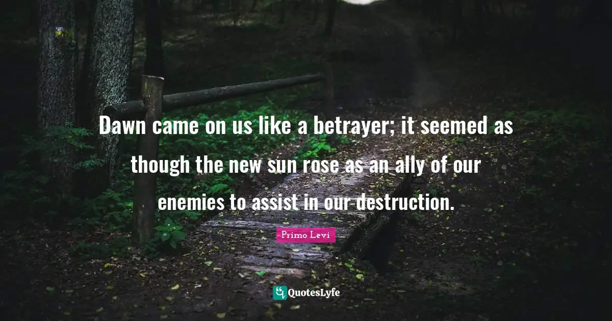Dawn came on us like a betrayer; it seemed as though the new sun rose as an ally of our enemies to assist in our destruction.