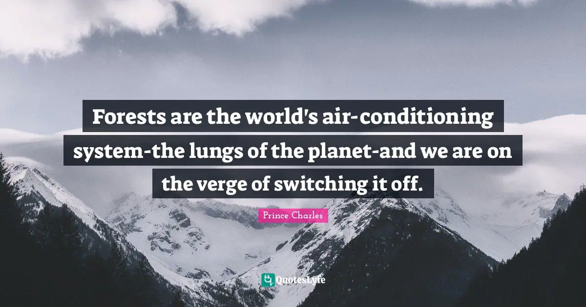 Switching Quotes: "Forests are the world's air-conditioning system-the lungs of the planet-and we are on the verge of switching it off."