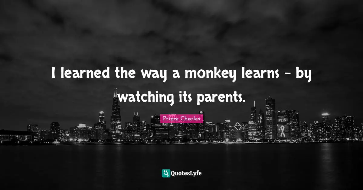I learned the way a monkey learns - by watching its parents.