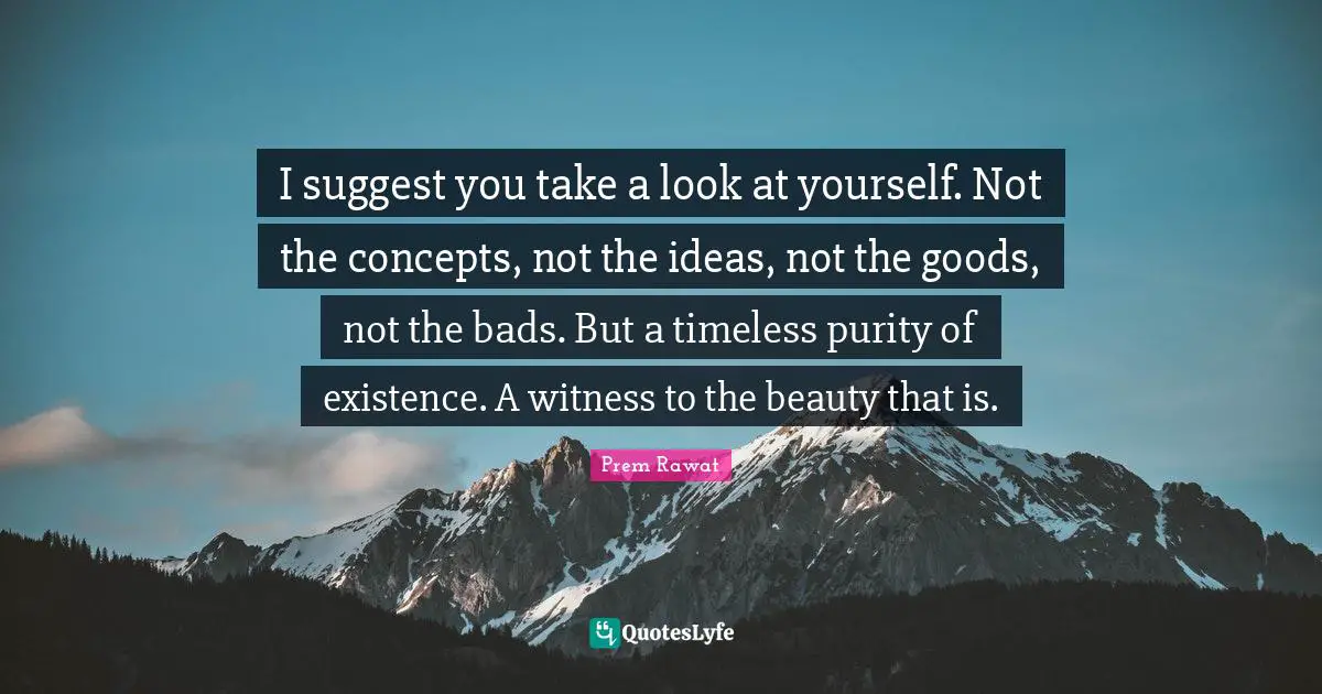 Witness Quotes: "I suggest you take a look at yourself. Not the concepts, not the ideas, not the goods, not the bads. But a timeless purity of existence. A witness to the beauty that is."