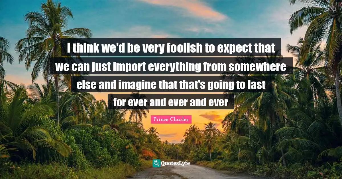 Somewhere Else Quotes: "I think we'd be very foolish to expect that we can just import everything from somewhere else and imagine that that's going to last for ever and ever and ever"