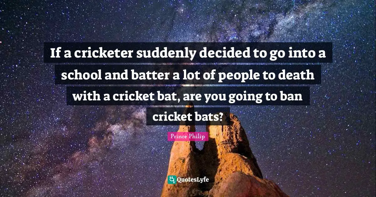 If a cricketer suddenly decided to go into a school and batter a lot of people to death with a cricket bat, are you going to ban cricket bats?