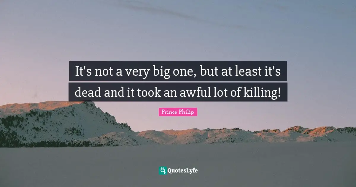 It's not a very big one, but at least it's dead and it took an awful lot of killing!