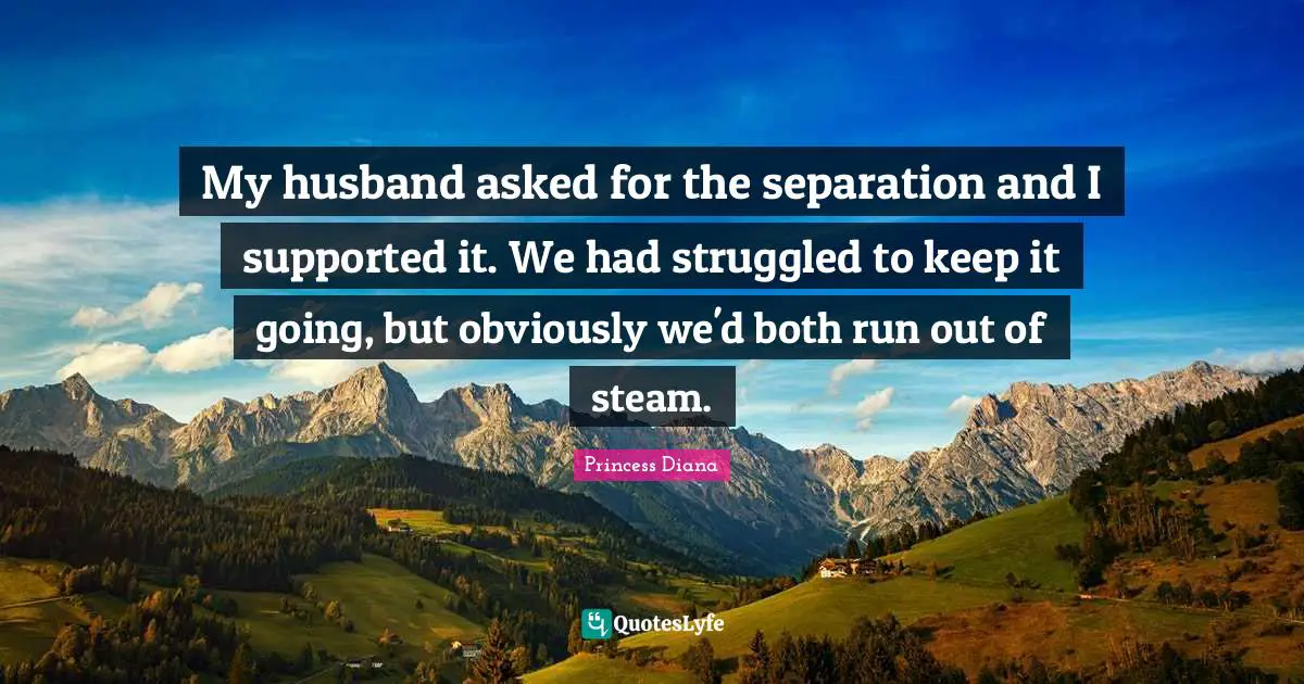 Princess Diana Quotes: "My husband asked for the separation and I supported it. We had struggled to keep it going, but obviously we'd both run out of steam."