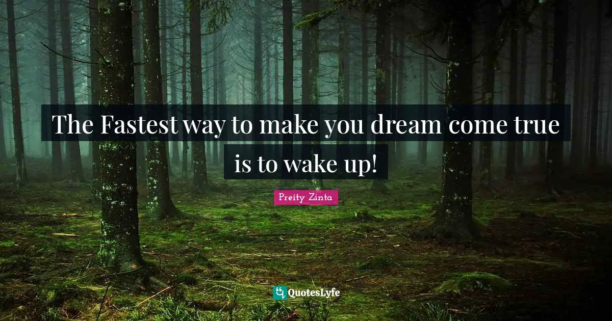 The Fastest way to make you dream come true is to wake up!