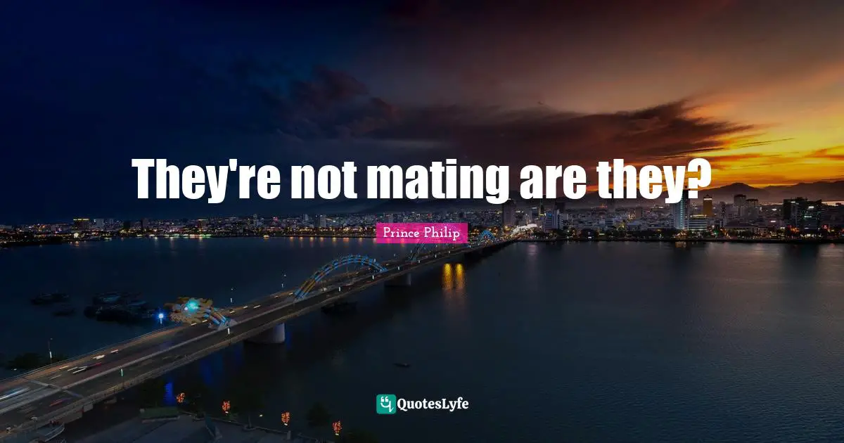 They're not mating are they?