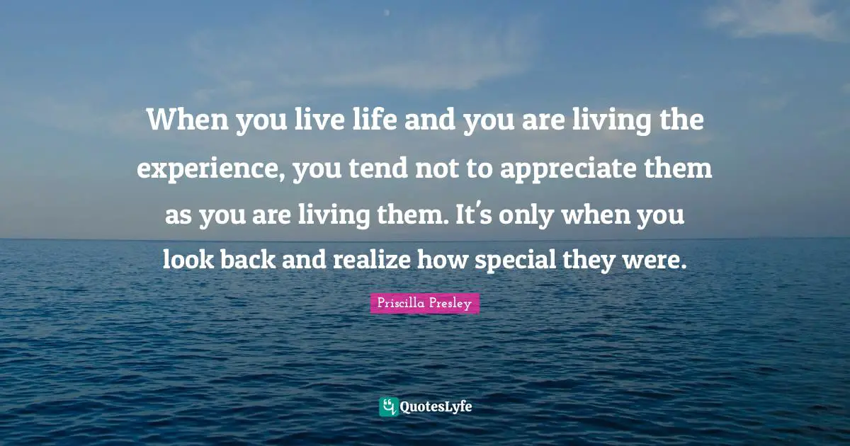 When you live life and you are living the experience, you tend not to appreciate them as you are living them. It's only when you look back and realize how special they were.