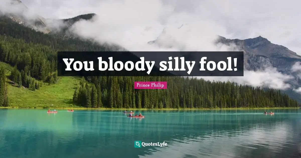 You bloody silly fool!