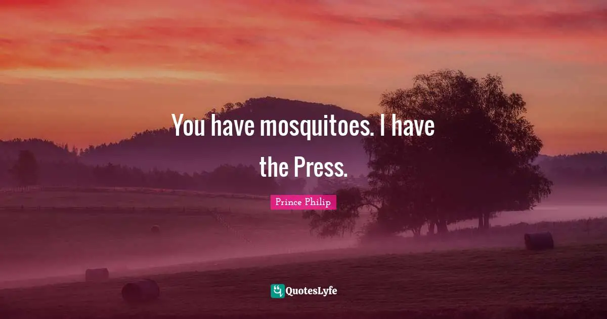 Mosquitoes Quotes: "You have mosquitoes. I have the Press."